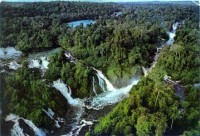 Expand Forest Area, Protect Rainforest